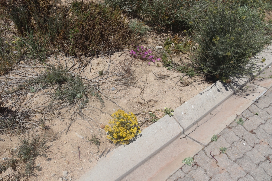 0 Bedroom Property for Sale in St Helena Views Western Cape